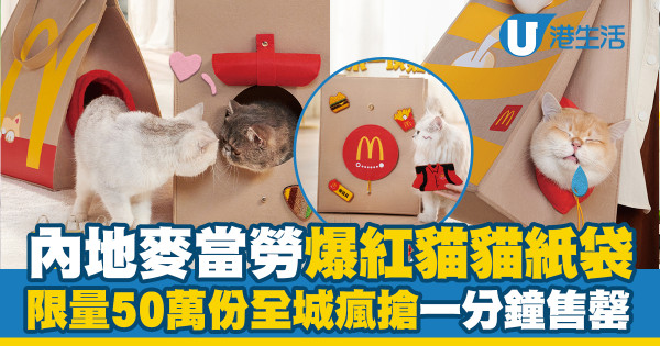 內地麥當勞推出爆紅貓貓紙袋　「袋袋貓窩」全城瘋搶一分鐘售罄！