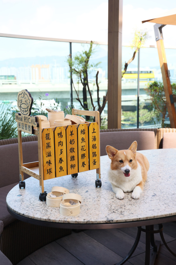 Hyatt Centric 海陸自助餐 7 折 $265 起歎過 100 款美食 + 送寵物專享點心車