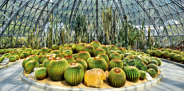 深圳仙湖植物園（圖片來源：MTR）