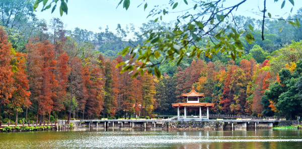 深圳仙湖植物園（圖片來源：MTR）