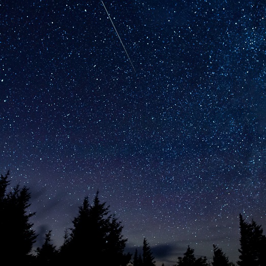 雙子座流星雨今晚高峰期 太空館將直播每小時或高達150粒 附4大觀星地點
