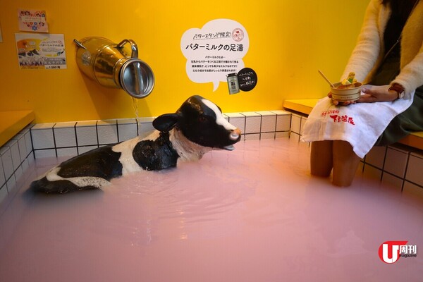 日本旅遊 | 下呂溫泉懶人包 泡日本三大名泉 0入住90年歷史老旅館 溫泉街上邊浸足湯邊食打卡甜品 