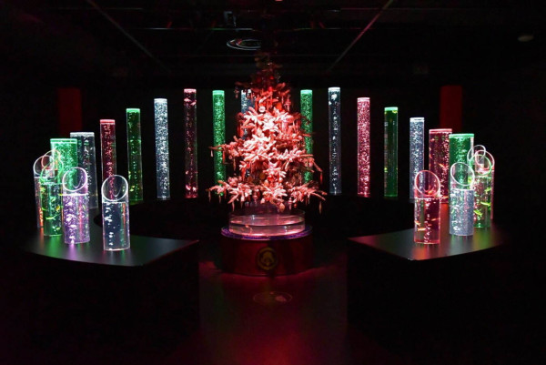 東京聖誕2023 | 銀座藝術水族館聖誕亮燈活動開催！夢幻雪花水族館/冰柱瀑布/冬日走廊 