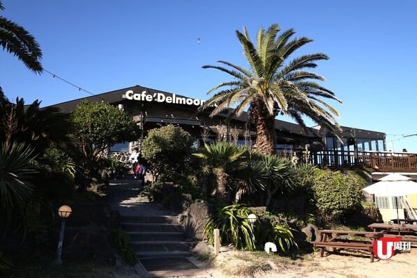 韓國旅遊｜濟州島必去4間cafe 海灘歎啤、懸崖睇日落、農園DIY甜品、禪修茶藝 
