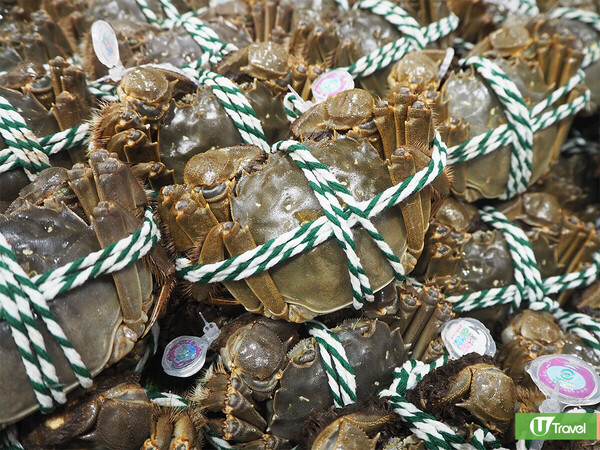 深圳山姆超市2026|40大山姆超市必買推介食品 詳細購物攻略/交通地址/會員申請流程