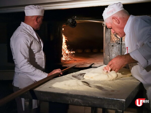 City'super 啟德 25,000 呎新店 必買本地薑產品  / 意大利古老巨型麵包 