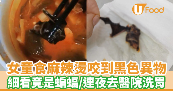女童食麻辣燙咬到黑色異物　細看竟是蝙蝠／連夜去醫院洗胃