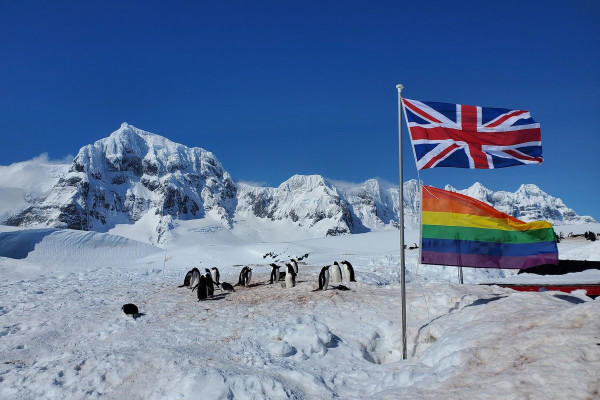 南極小島招聘4名企鵝照顧員 月薪呢個數負責清理企鵝糞便！無網絡無得沖涼??