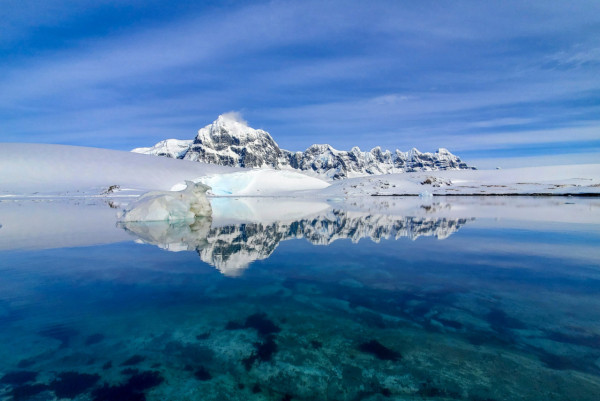 南極小島招聘4名企鵝照顧員 月薪呢個數負責清理企鵝糞便！無網絡無得沖涼?? 