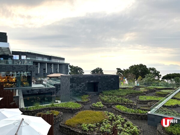 【韓國旅遊】濟州名牌酒店試住報告 避世JW Marriott度假村每晚100萬韓元 市中心Grand Hyatt每晚30萬韓元 