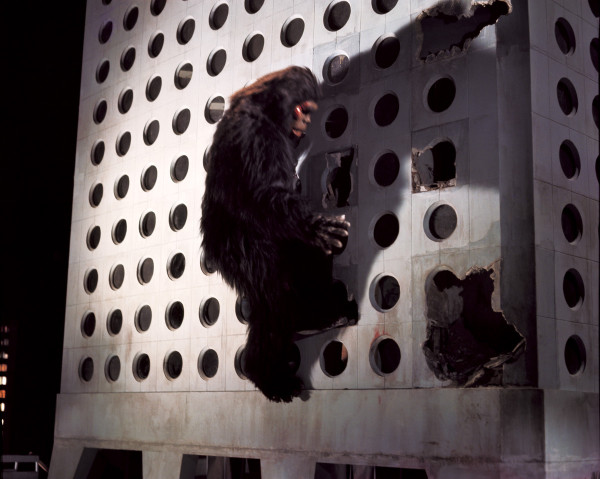 《猩猩王》《山狗》《恐怖雞》極罕重映   70至90年代港產特攝／重口味「動物」cult片