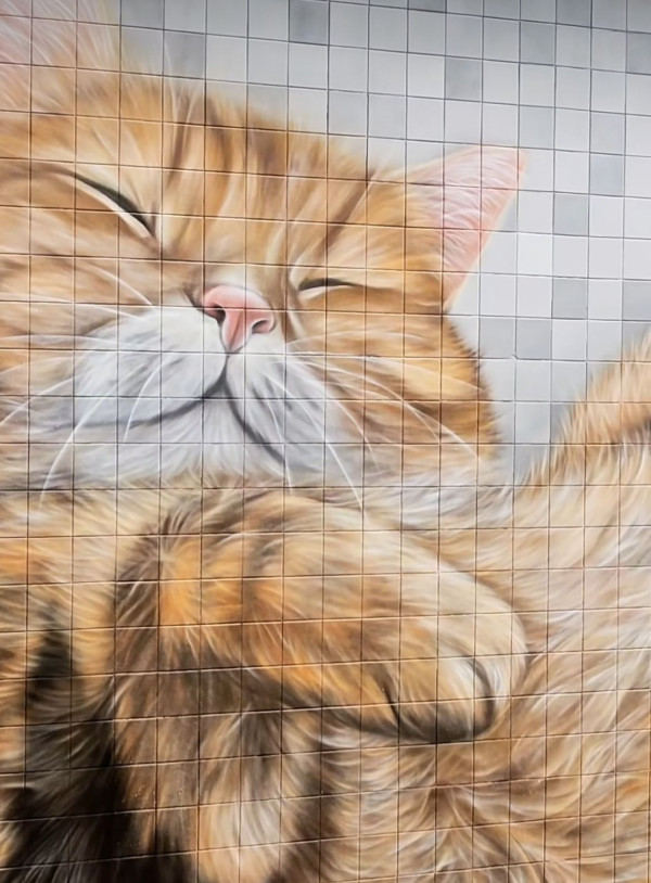 最新巨型貓貓壁畫現身酒店 俄羅斯畫家暫別香港作將永久保存
