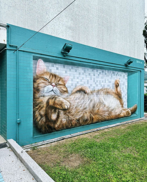 最新巨型貓貓壁畫現身酒店 俄羅斯畫家暫別香港作將永久保存