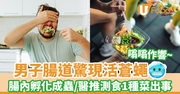 男子腸道驚現活蒼蠅嗡嗡作響 醫推測吃1種蔬菜出事／腸內孵化成蟲