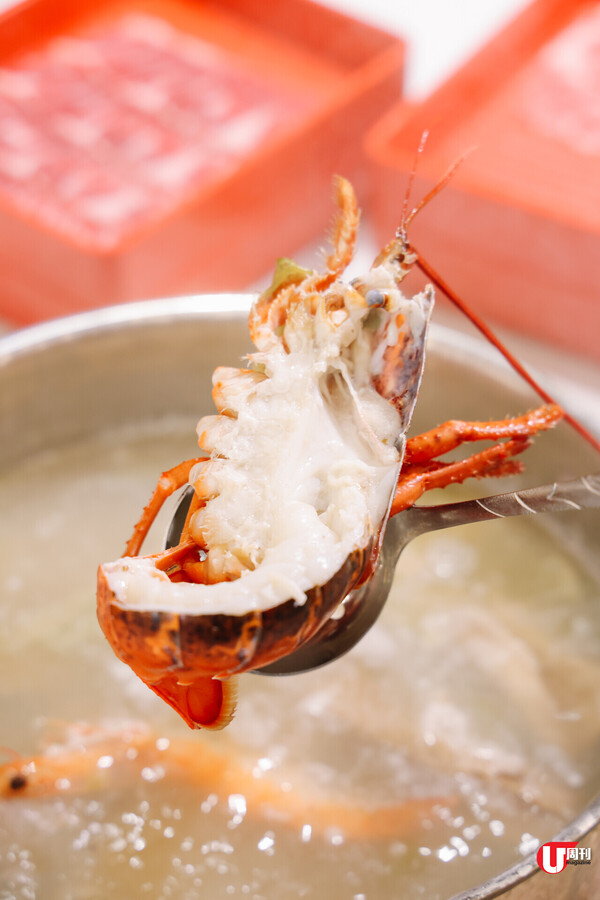 旺角 $168 起海鮮火鍋放題 無限追加和牛 ／ CP 超高　$388 長腳蟹火鍋放題