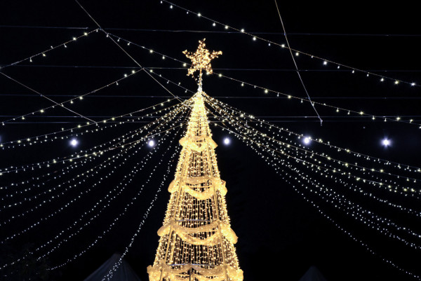 大埔白鷺湖畔Lake House10米高巨型聖誕樹登場！浪漫燈海玻璃屋+聖誕老人打卡位