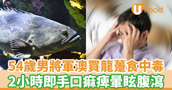 54歲男將軍澳買龍躉食疑中雪卡毒 2小時即手口痲痺暈眩腹瀉