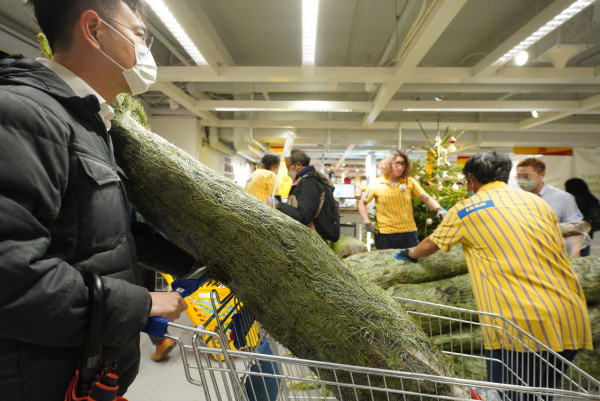 IKEA再推$50聖誕樹限定優惠 折上折最平$30！(附購買連結)