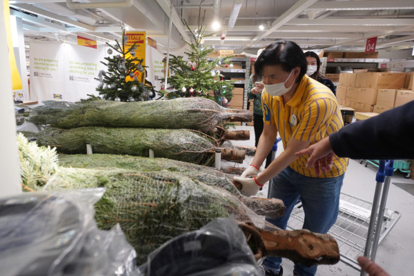 IKEA再推$50聖誕樹限定優惠 折上折最平$30！(附購買連結)