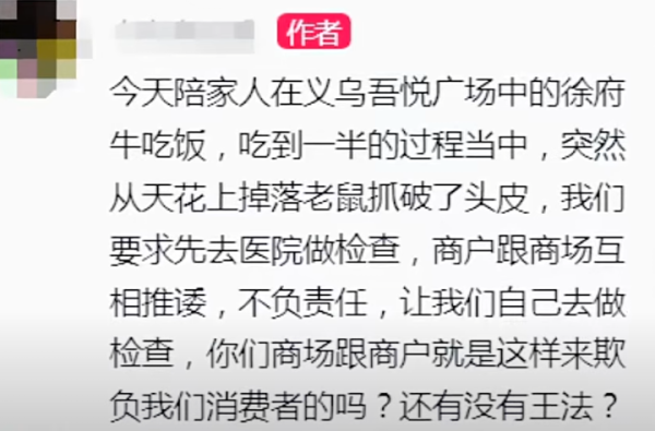 打邊爐竟有鼠從天降 男食客頭皮慘被抓傷