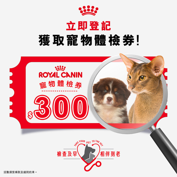 公益短片分享寵物因病離世遺憾故事  Royal Canin捐糧活動獲過千留言支持  鼓勵寵物體檢送HK$300獸醫體檢劵