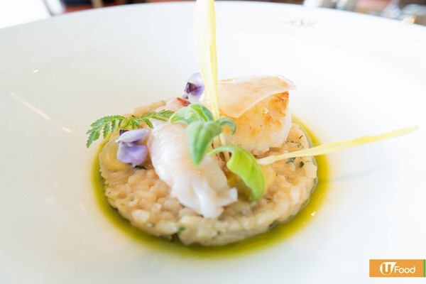 Fortnum & Mason推出聖誕限定餐點　傳統聖誕火雞／帶子脆香雞皮伴深海螯蝦粟米飯／朱古力巨蛋