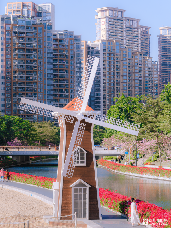 深圳好去處｜南山區花河成新興打卡位！兩岸簕杜鵑花海/紫花風鈴木盛開 (附地鐵前往方式) 