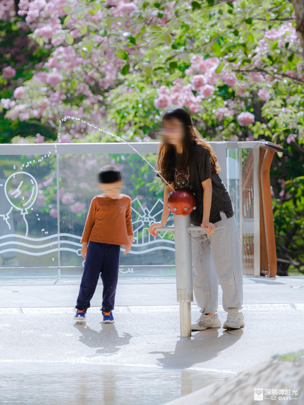 深圳好去處｜南山區花河成新興打卡位！兩岸簕杜鵑花海/紫花風鈴木盛開 (附地鐵前往方式) 