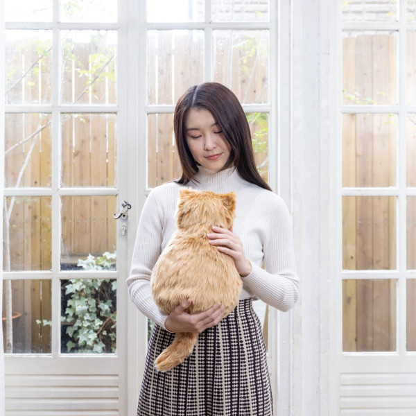 日本超逼真觸感貓貓公仔抱枕　抱起重量十足真貓！神還原心跳叫聲