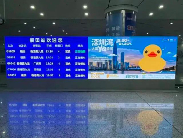 巨型大黃鴨12月20起登陸深圳灣  口岸地鐵直達！展覽為期1個月 
