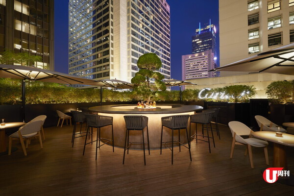 聖誕約會餐廳推介 101 樓海景意式餐廳 / Cozy 法式小館 / 西班牙聖誕餐