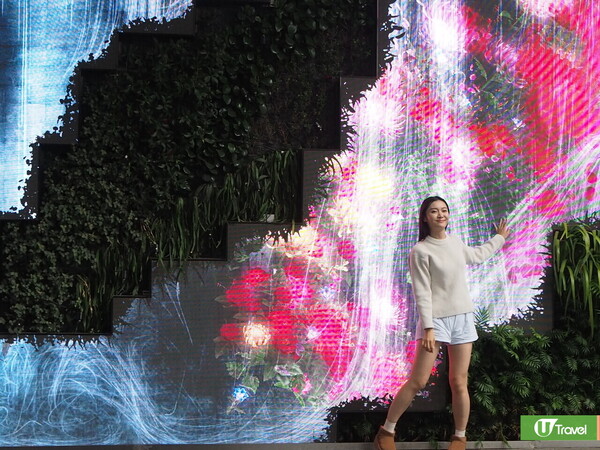 深圳中洲灣美食一天遊 帶你食盡十大人氣餐廳/輕食！ 