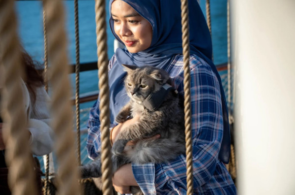 帶貓出海！新加坡船公司推「貓貓郵輪團」　與貓睇海景嘆四道菜晚餐
