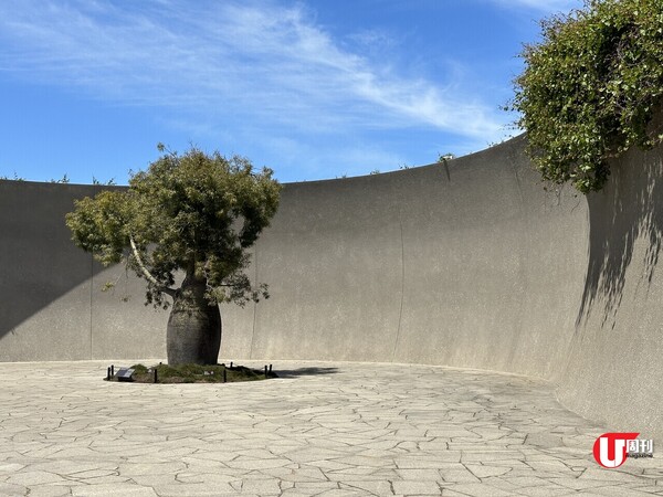 【墨爾本近郊】Mornington半島小旅行！七彩沙灘小屋、酒莊睇KAWS、禪風清水模溫泉 