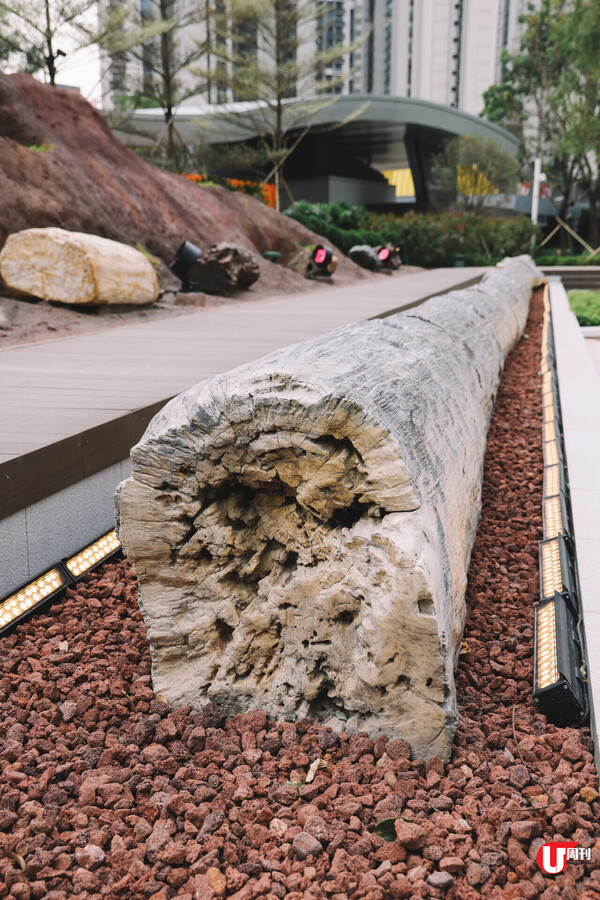 荃灣新開！香港首個木化石公園「如心園」過百件木化石珍藏+嬉水堆沙+體驗館免費入場