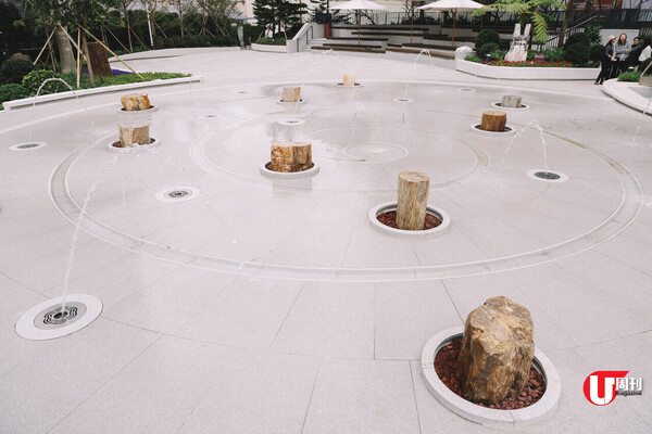 荃灣新開！香港首個木化石公園「如心園」過百件木化石珍藏+嬉水堆沙+體驗館免費入場