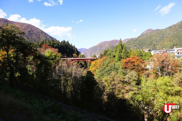 【短線特搜】日本岐阜鐵道單車 0 平衡力！免跌！唔識踩單車 即踩6公里路線 遊溪谷、隧道、紅葉路 多種款式單車選擇 