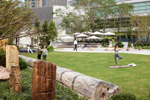 荃灣「如心園」木化石公園免費開放！亞洲首個最大規模佔7萬平方呎+逾100件木化石 