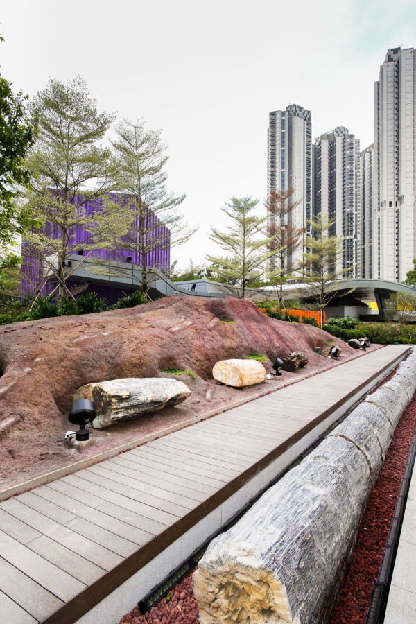 荃灣「如心園」木化石公園免費開放！亞洲首個最大規模佔7萬平方呎+逾100件木化石 