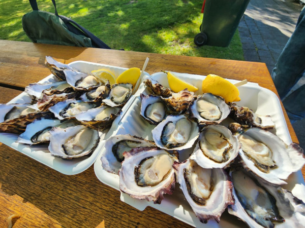 【自遊攻略】塔斯曼尼亞---一個位處澳洲最南端外型酷似心型的世外桃源島嶼 