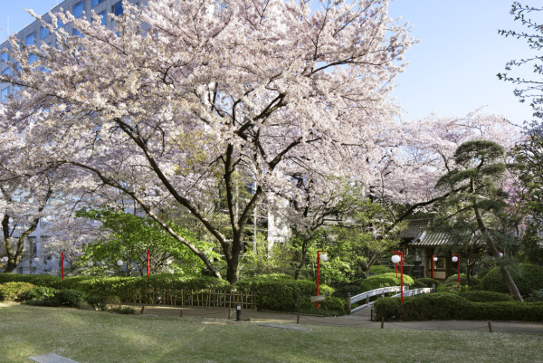 「The Prince Sakura Tower Tokyo」設有2萬平方米的日式庭園。（圖片來源：The Prince Sakura Tower Tokyo官網）