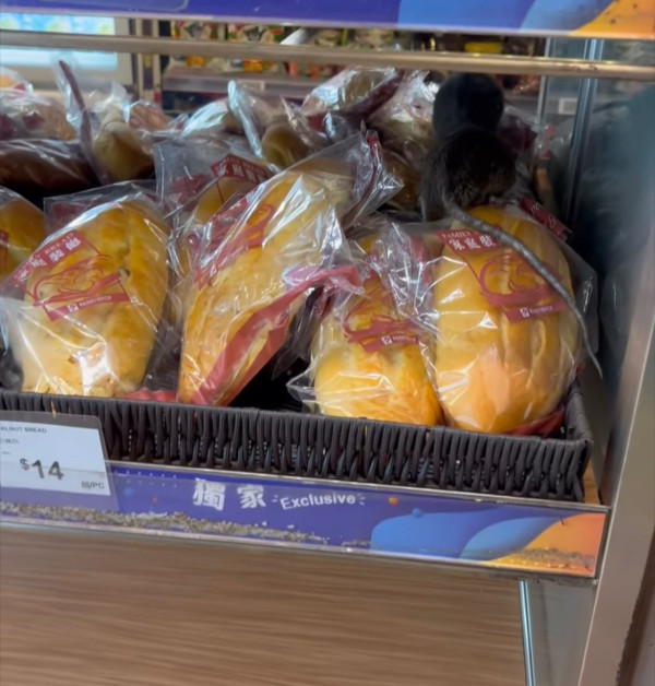 超市麵包部驚見巨型老鼠！貨架穿插 網民：完全唔怕人