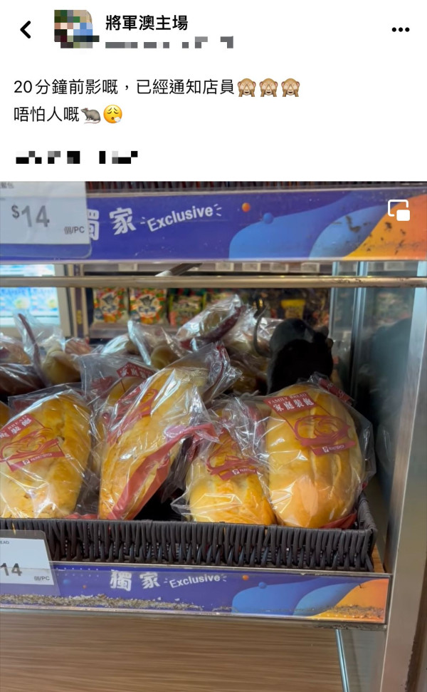 超市麵包部驚見巨型老鼠！貨架穿插 網民：完全唔怕人
