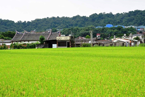清境不是第一名！台灣最強農場出爐，冠軍狂吸180萬人朝聖 