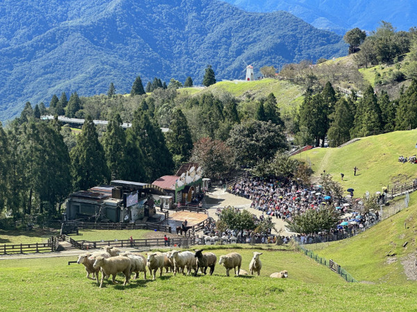 清境不是第一名！台灣最強農場出爐，冠軍狂吸180萬人朝聖 