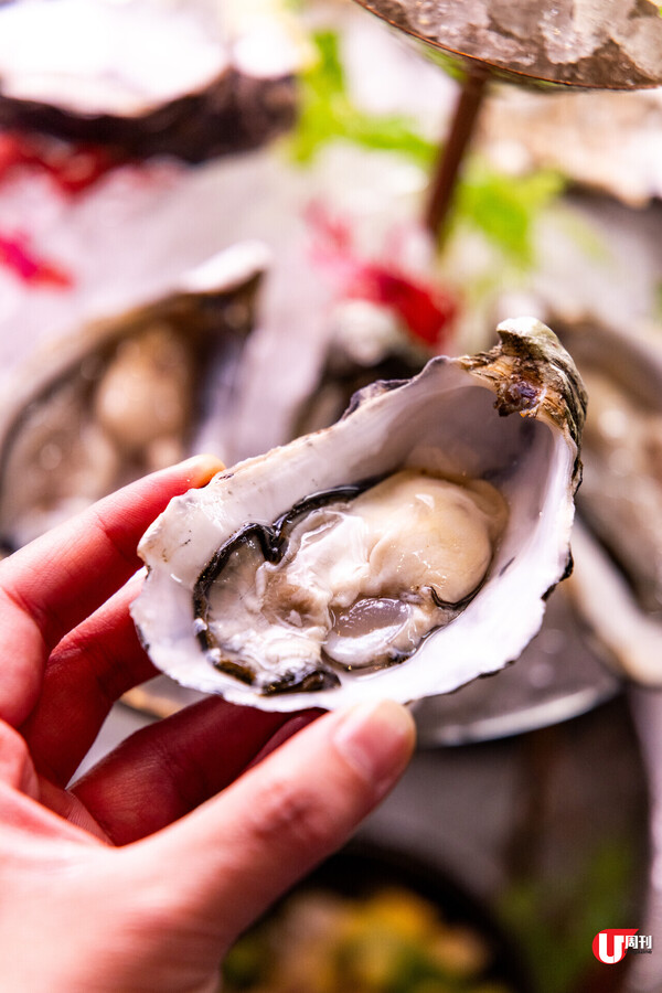 世界級名牌酒店 Mondrian 開業 38 樓無敵海景酒吧餐廳 Avoca 直擊