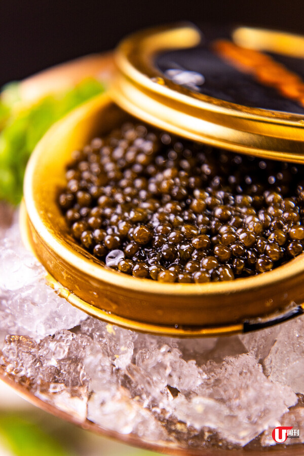 世界級名牌酒店 Mondrian 開業 38 樓無敵海景酒吧餐廳 Avoca 直擊