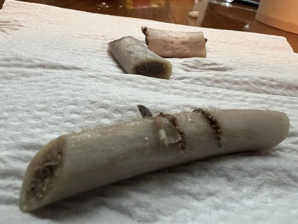 台女Costco超市買排骨 驚見藏2塊銳利刀片 10歲女兒慘遭割傷舌頭 