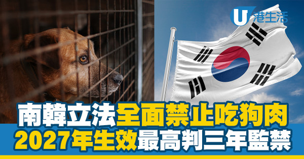 南韓立法全面禁止吃狗肉　2027年生效最高判三年監禁