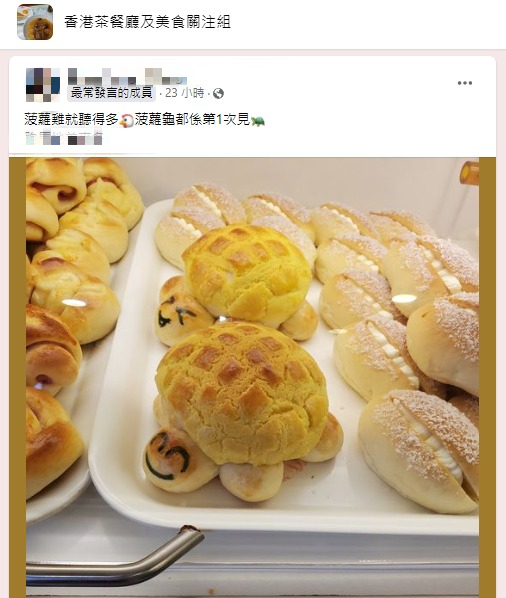 麵包店驚喜製作「菠蘿龜」獲讚 心思手工惹笑網民：菠蘿雞就聽得多